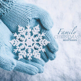 Family Christmas  - Vinyl