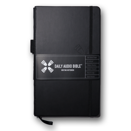 DAB Journal 2.0